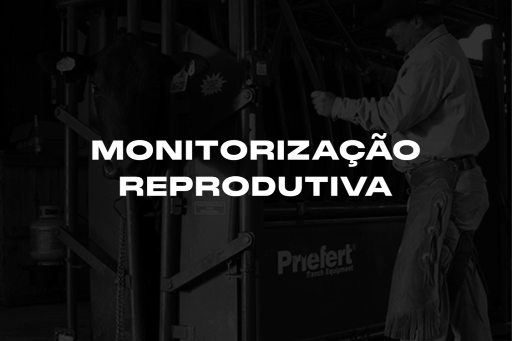 Monitorização reprodutiva - Animalequip